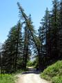 2006-07 Serre-Chevalier 006